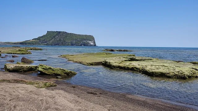 제주 여행 필수 코스 우도 배시간표 요금 예약 방법_9