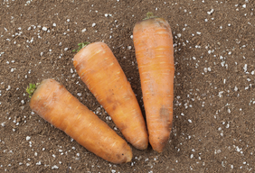 무릎 연골 염증