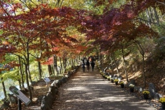 6시 내고향에 나온 함안 강변횟집&amp;#44; 정말 맛있을까?