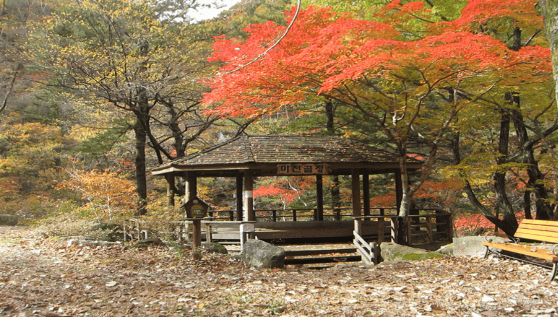 국립 미천골자연휴양림