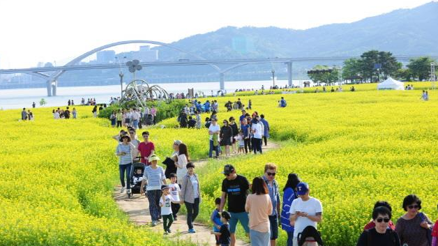 구리 유채꽃축제