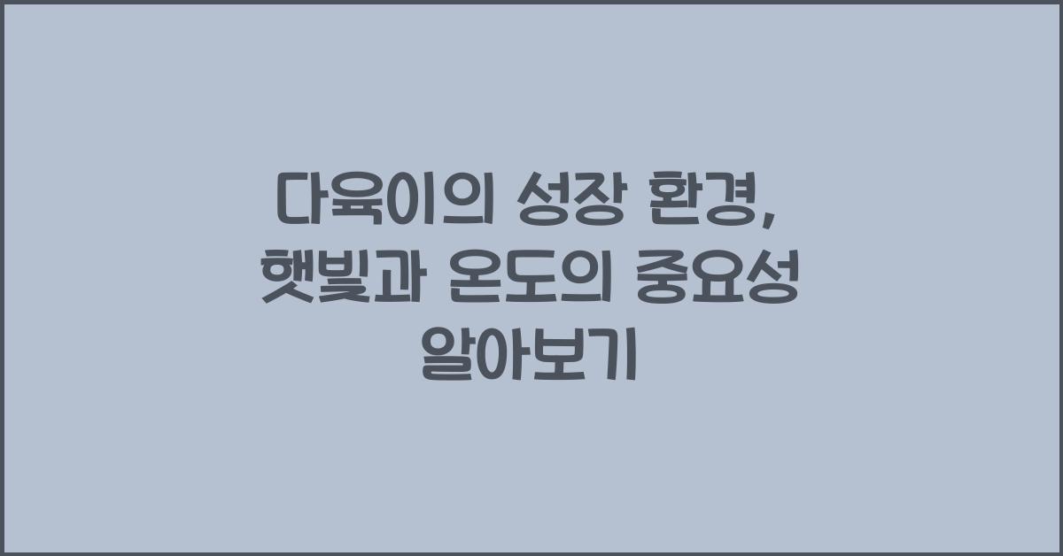 다육이의 성장 환경: 햇빛과 온도의 중요성