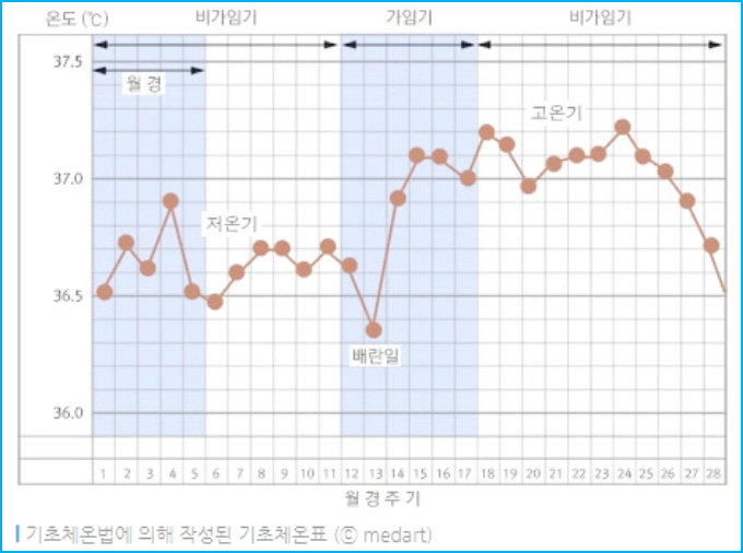 기초체온 곡선 확인표