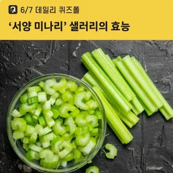 샐러리 효능 알고 먹는법 잎 생으로 손질법 요리_13