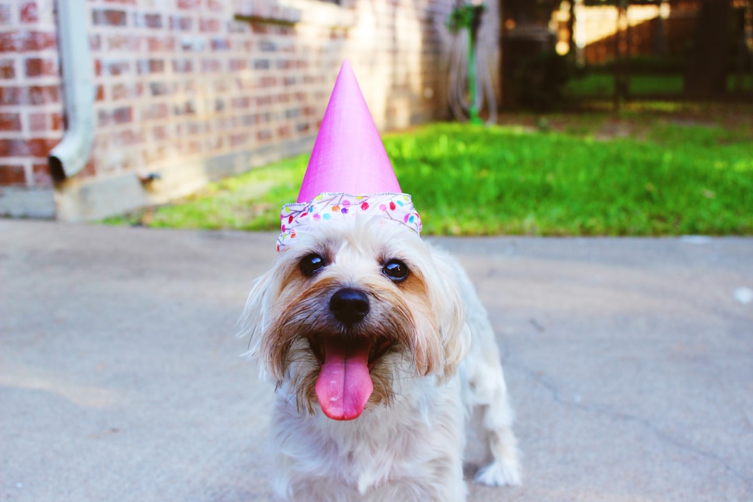 Birthday