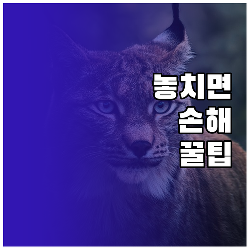 물때 기름때 해결! 천연세제 만드는 ..