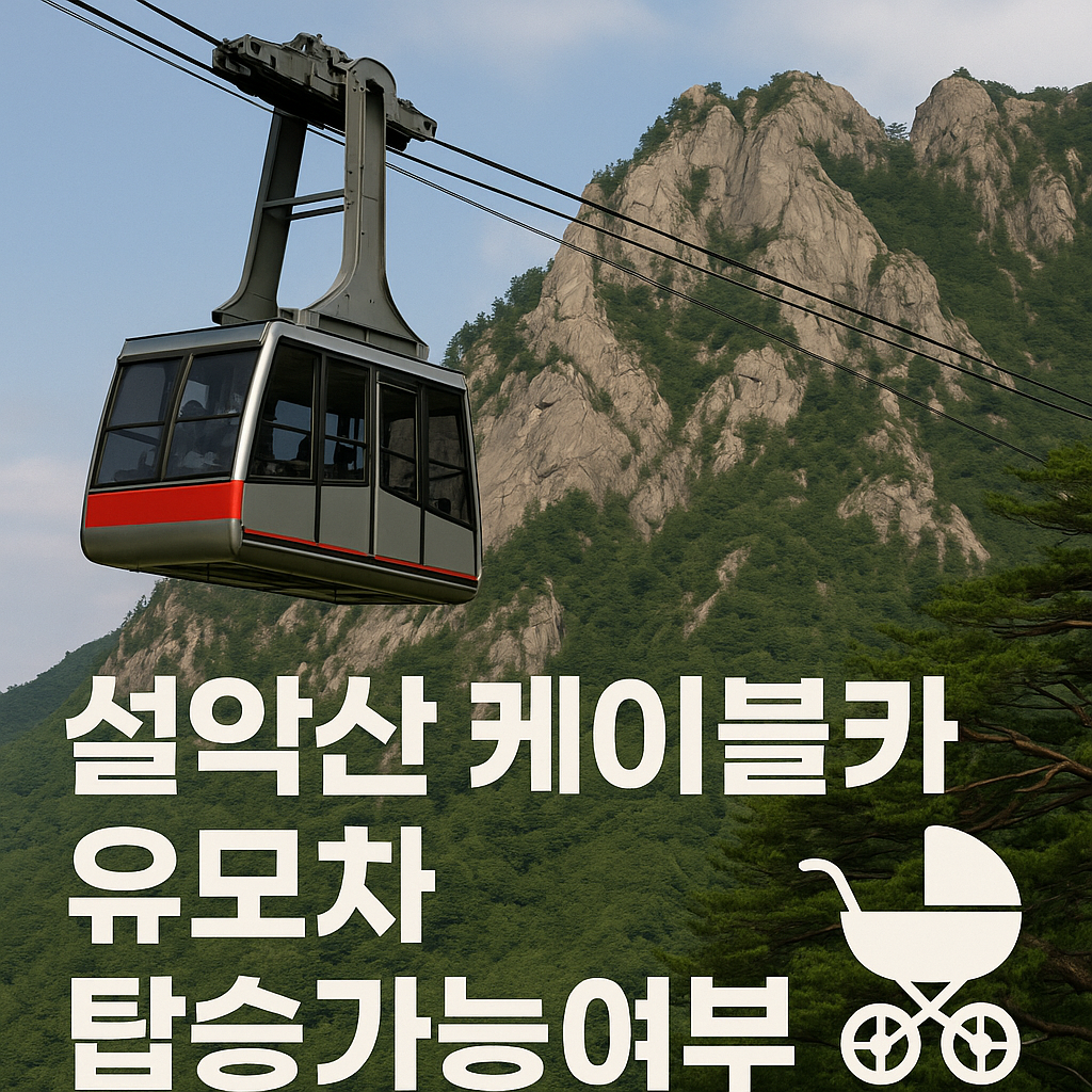 설악산 케이블카 유모타 탑승가능여부