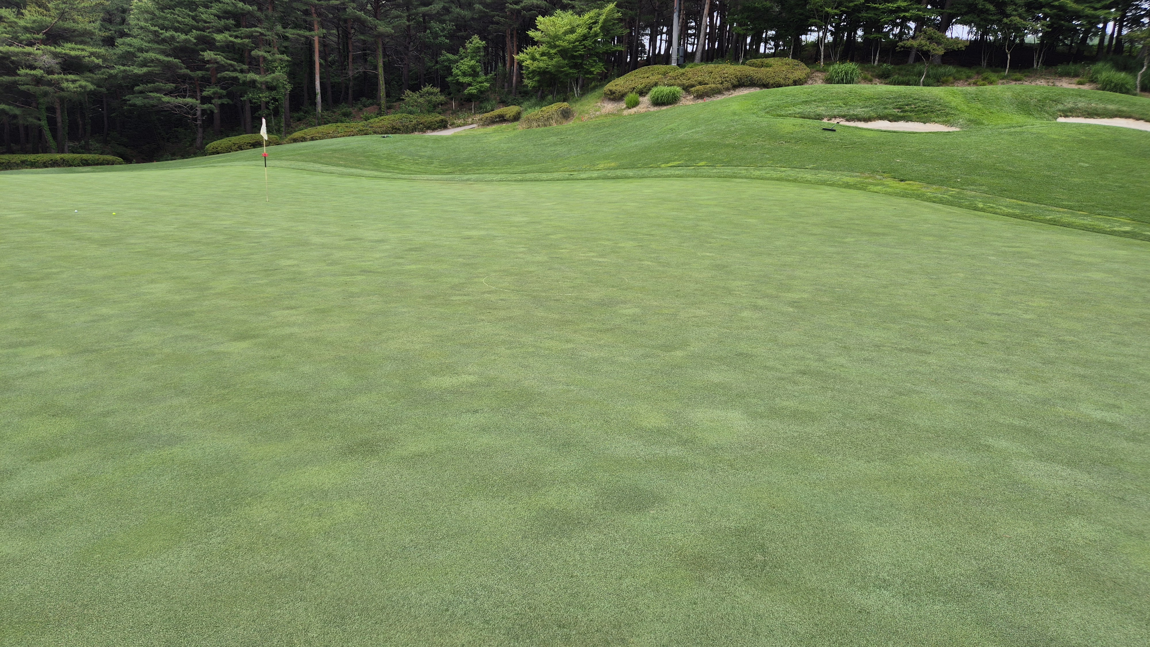 파인리즈cc 라운드 후기