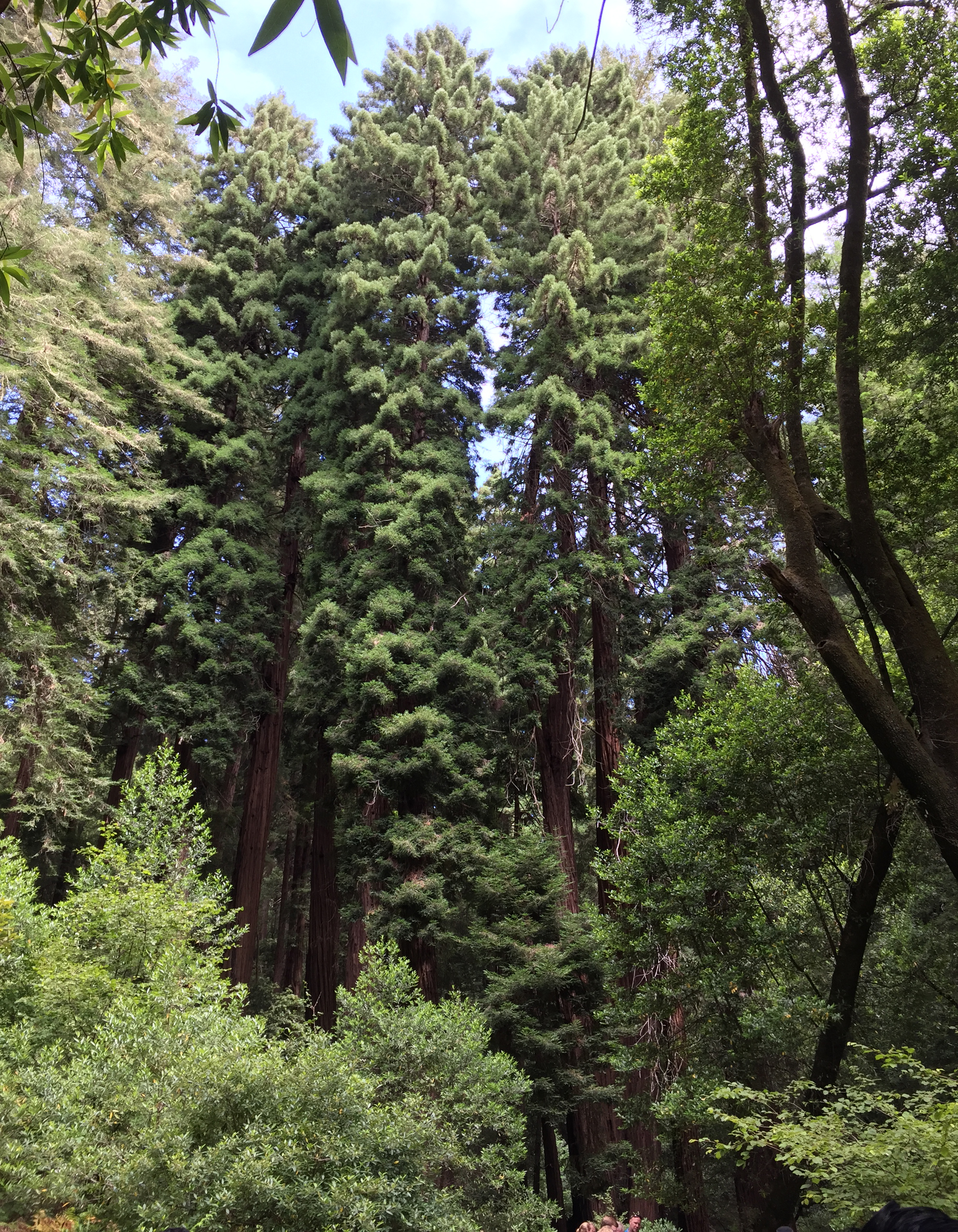 샌프란시스코 근교 여행