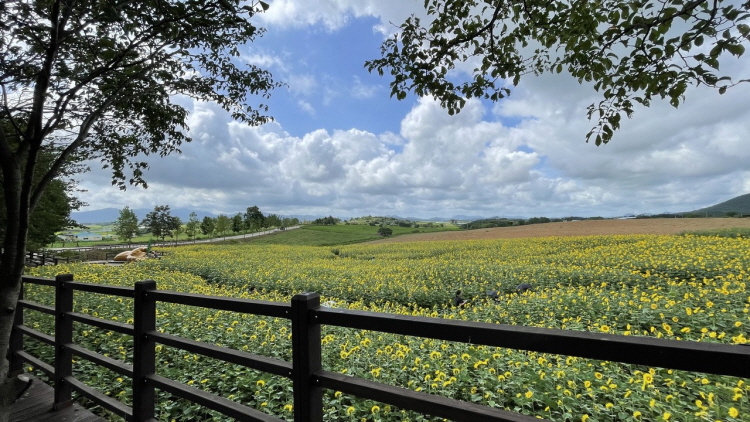 보리나라 학원농장