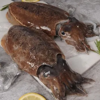 갑오징어 제철 시기 요리 레시피 황금레시피_2