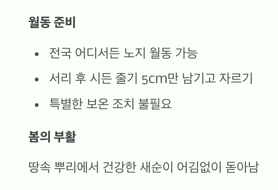 겨울을 나는 지혜