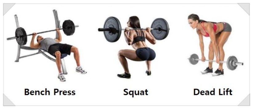 3대 운동의 모습