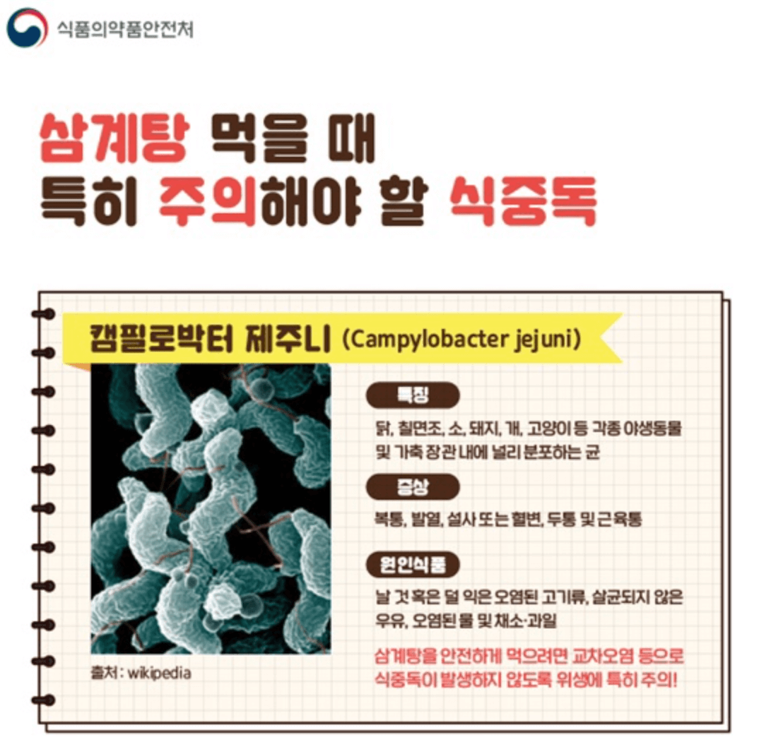 2025 복날 날짜 초복 중복 말복 추천음식 할인안내