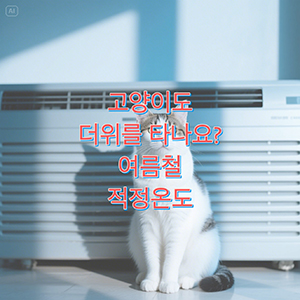 고양이 에어컨 꼭 필요할까? 여름철 고양이를 위한 적정온도와 환경 만들기