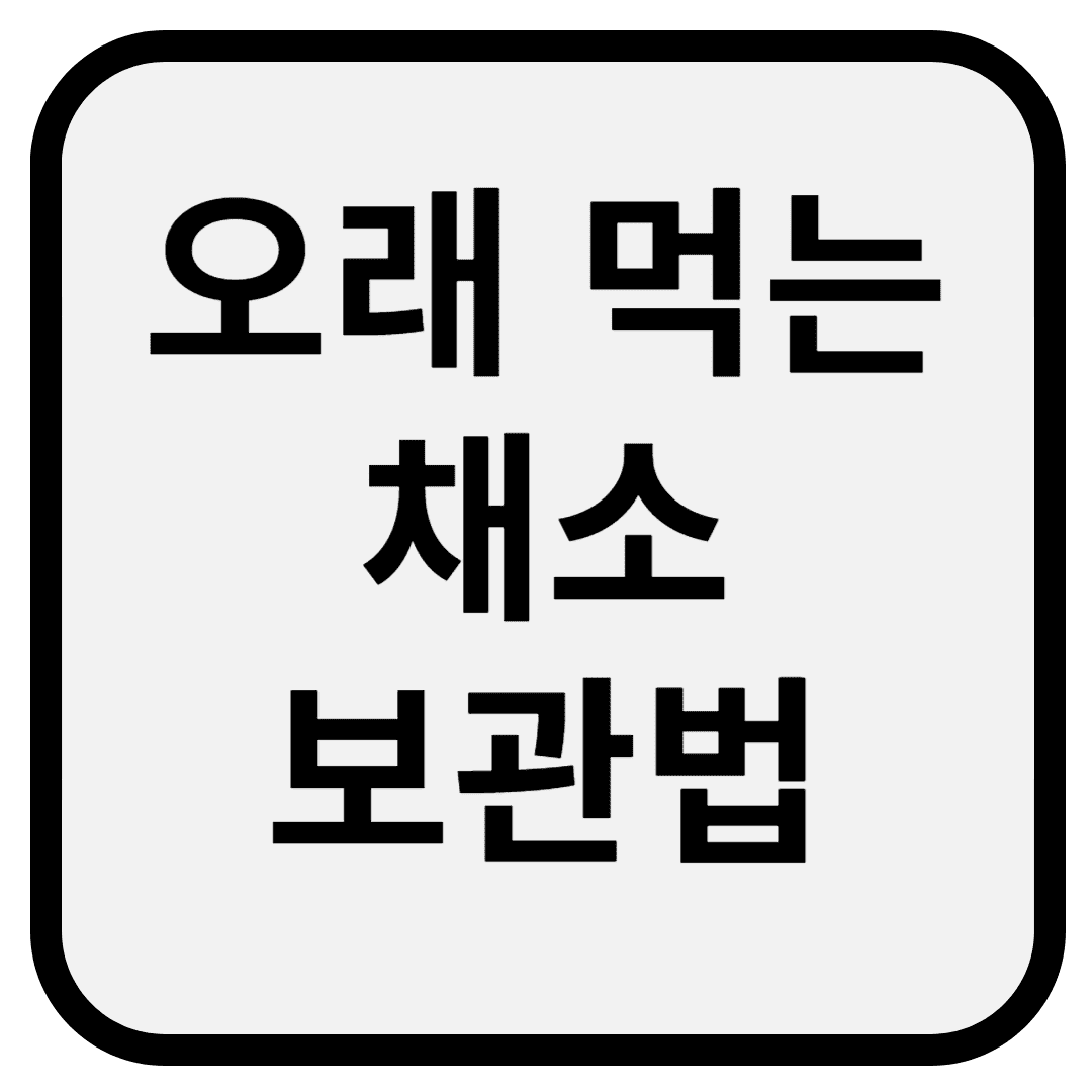 오래 먹는 채소 보관법