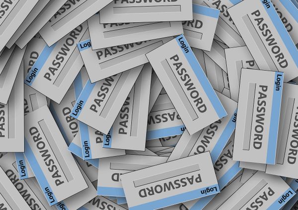 패스워드 매니저 password manager 비밀번호 관리 프로그램 추천 묶어서 안전하게 계정 온라인 홈페이지 사이트 패스키 nordpass proton bitwarden 1password 사용법 사용방법
나누기 분할 관리 폴더 확장 프로그램