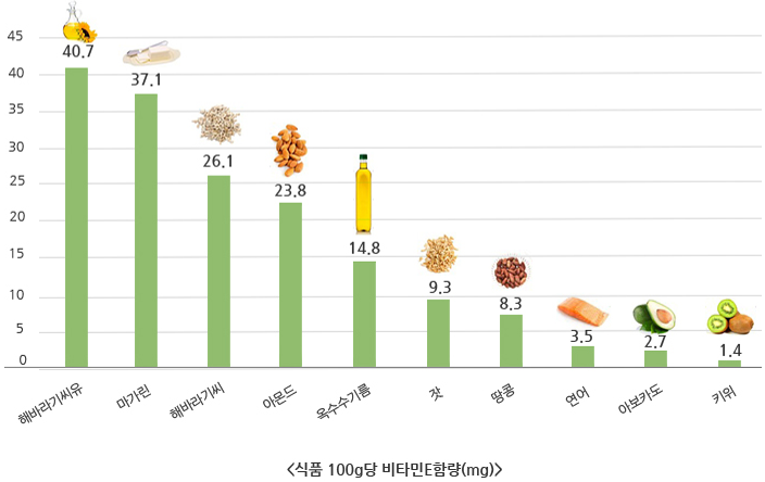 식품별 비타민E 함량