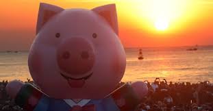 2026년 1월 돼지띠 운세 총운