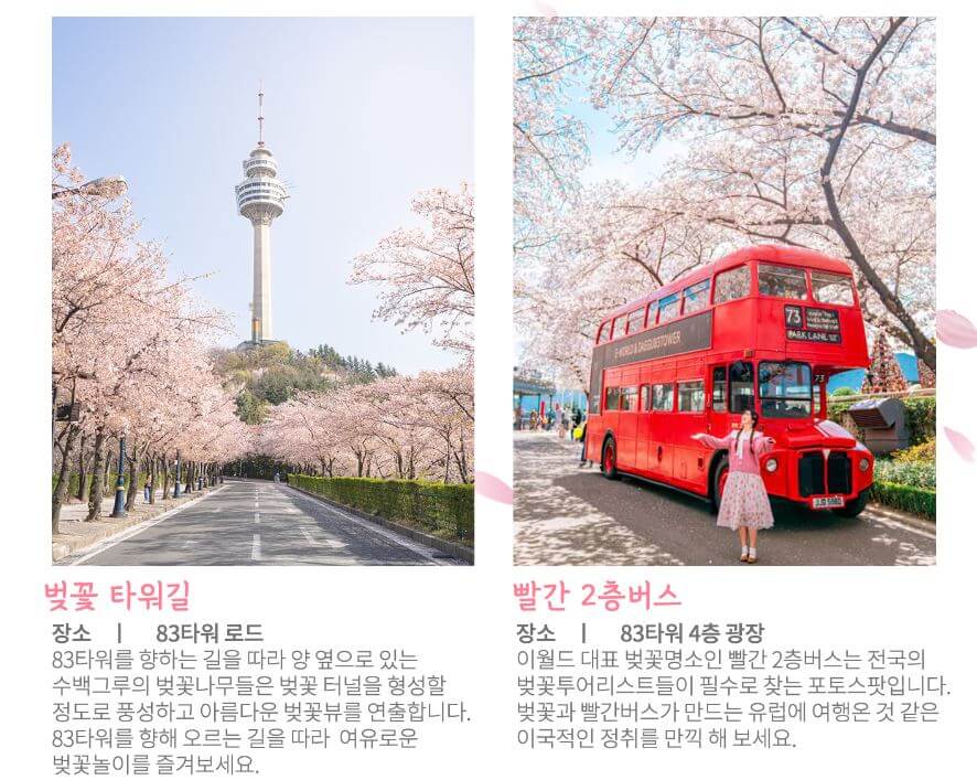 대구 이월드 사진