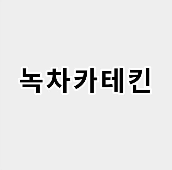 녹차카테킨