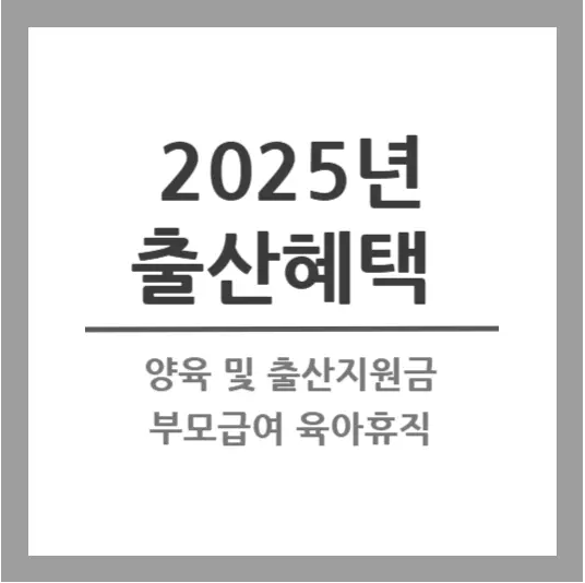 2025년 출산혜택