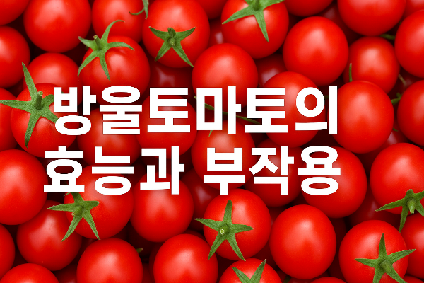 방울토마토의 효능과 부작용
