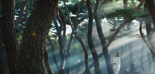 더파인 프리미엄 효능