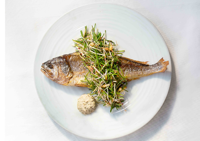 2TV 생생정보 2008회 2024년3월18일 닭도리탕 부안애서