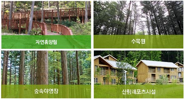 산림복지 바우처-사용처