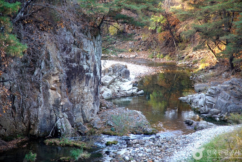 ํ์ฒ ์ผ๋ด ์์ฐํด์๋ฆผ ์ฃผ๋ณ ๋ง์ง ์นดํ ๋งํธ ์ ํต ์์ฅ ํน์ฐ๋ฌผ ๊ฐ์์ง ๋๋ฐ ์ ๋ณด