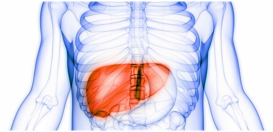 간암 초기증상 원인 진단 치료 예방 생존율