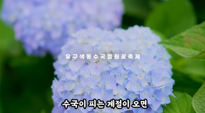 박서진 - 공주에서