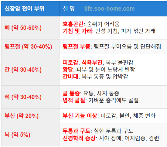 신장암 전이: 전이 부위와 증상, 예후