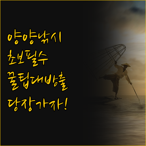 초보자를 위한 양양 낚시 여행 A t..