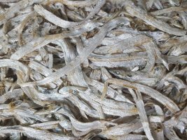 아연 많은 음식