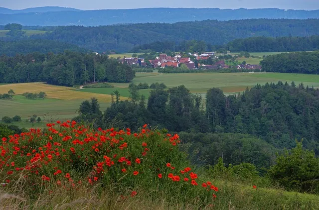 가을 여행지 베스트