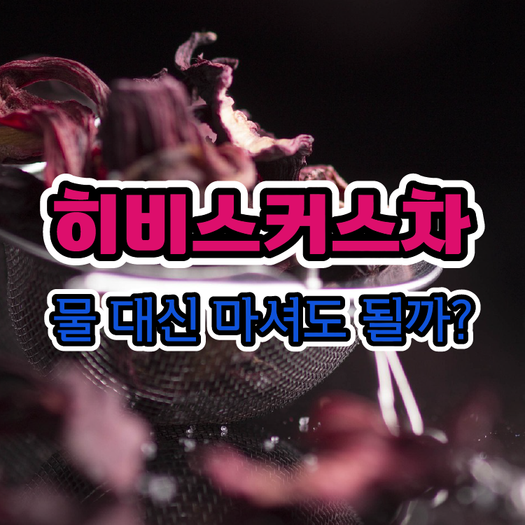 히비스커스차, 물 대신 마셔도 될까?