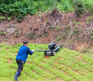 명절 벌초 방법