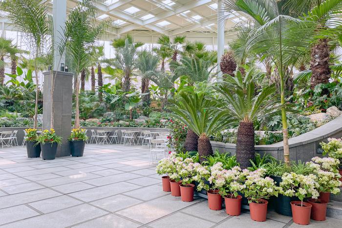 서울근교 파주 데이트 코스 가볼만한곳 더티 트렁크 카페, 문지리 535 카페 포함