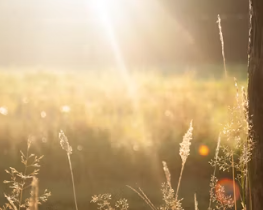 비타민D 부족 증상 섭취방법 많은 음식