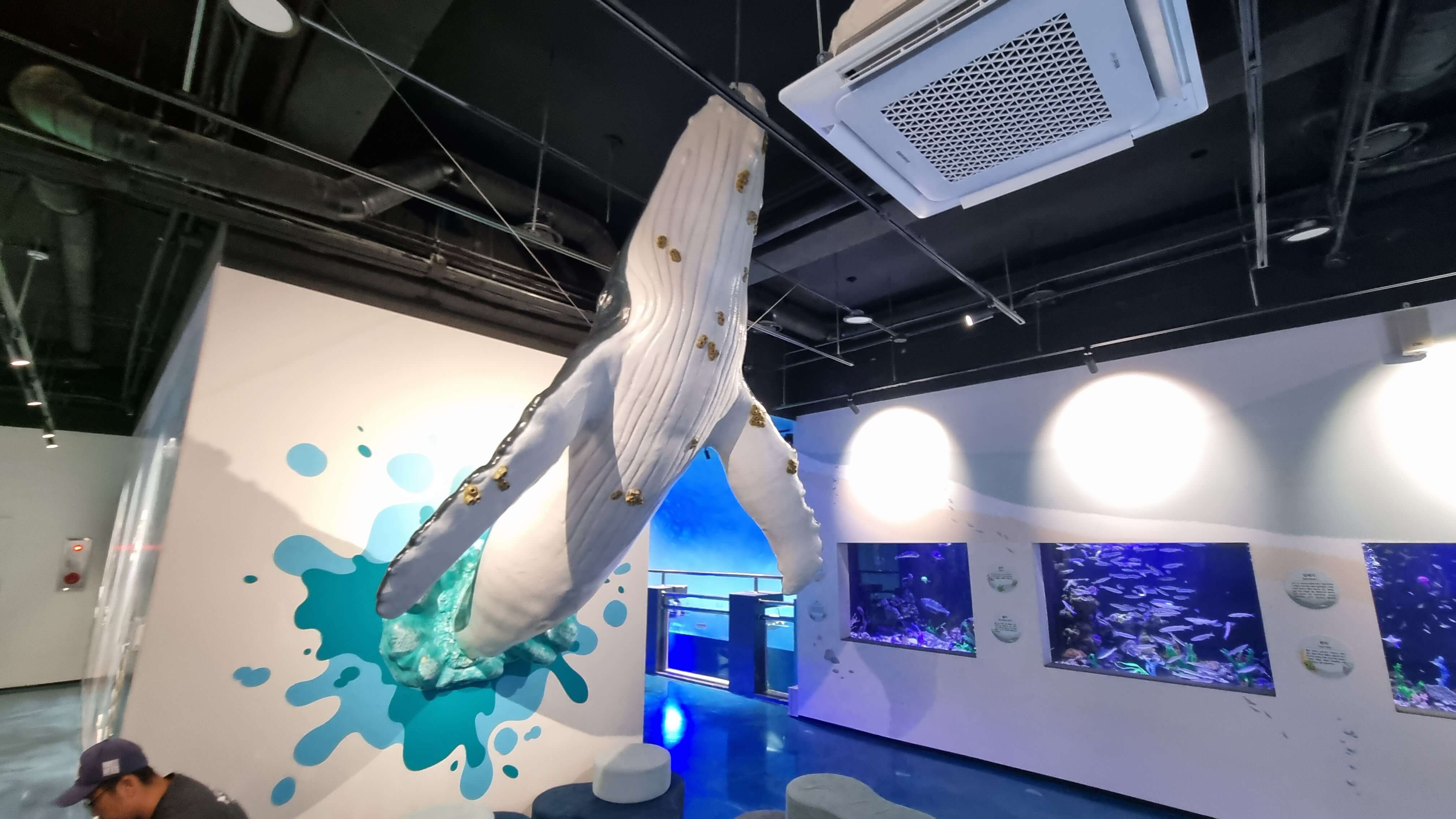 화진포 해양박물관 실내-사진