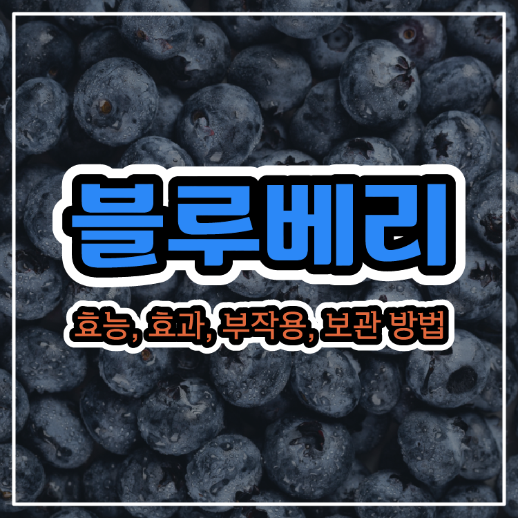 블루베리에 대한 모든 것! 효능, 효과, 부작용, 보관 방법