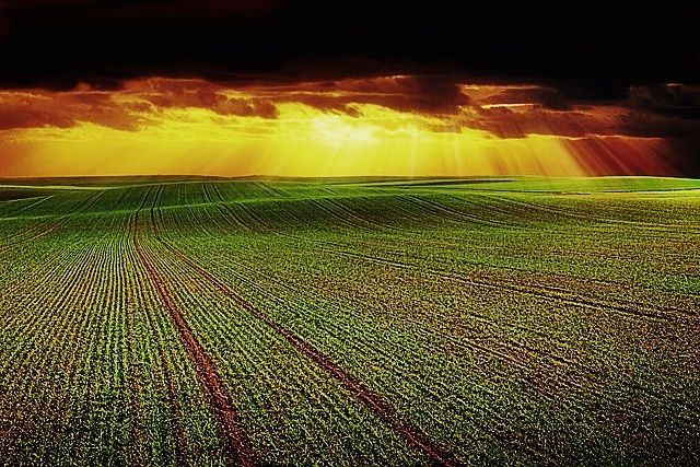 2024년 기본형 공익직불금 신청방법