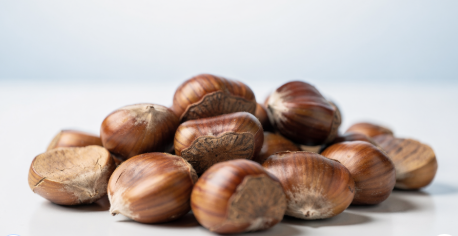 신장에 좋은 음식