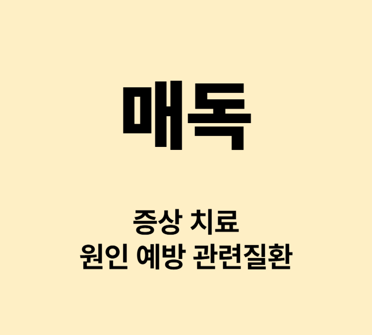 입술 발바닥 손바닥 궤양 반점 성병 매독 대표증상 치료방법