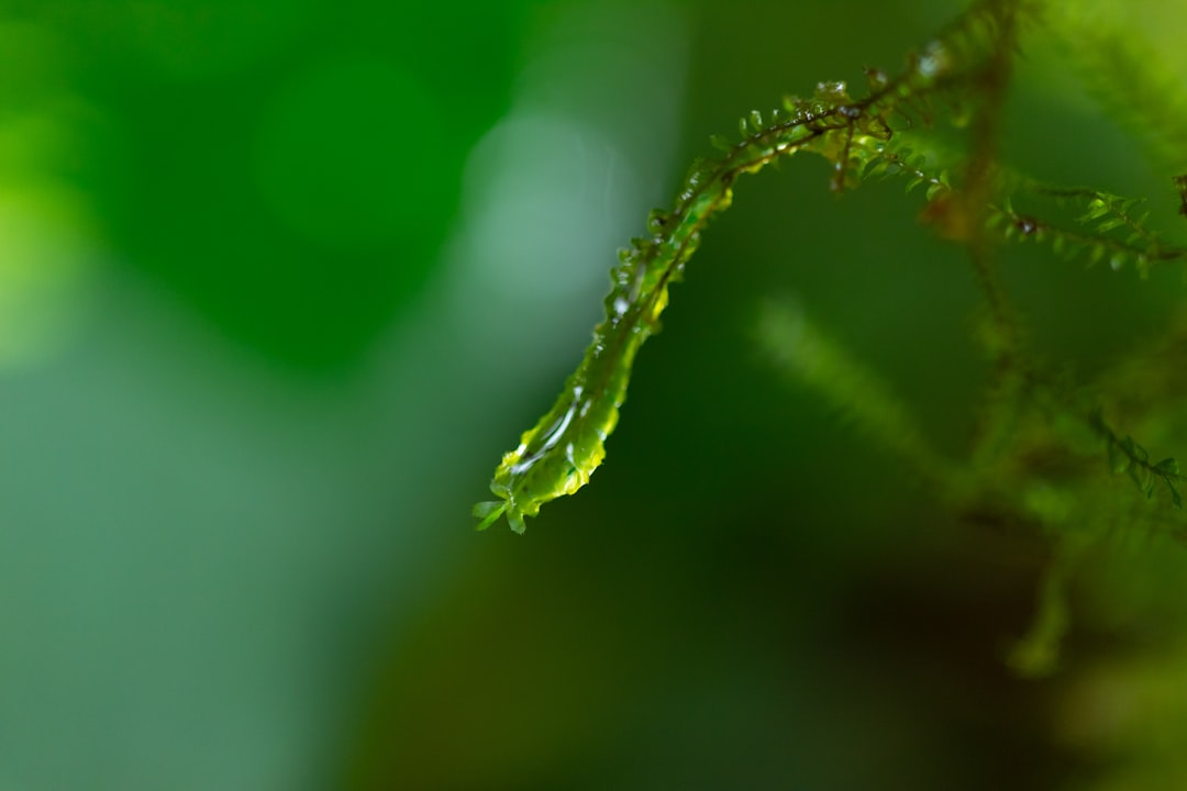 Humidity