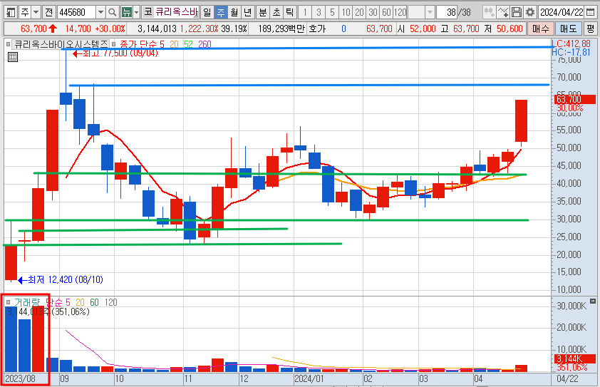 큐리옥스바이오시스템즈 주가 주봉 차트 분석