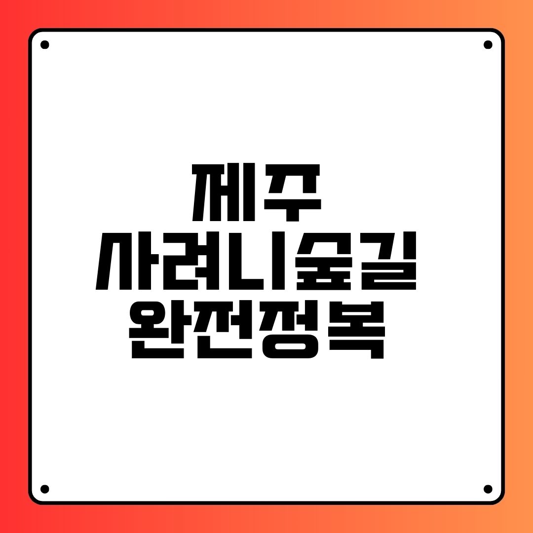 제주 사려니 숲길 완전 정복