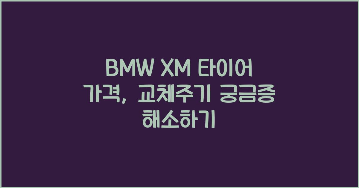 BMW XM 타이어 가격, 교체주기
